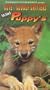 Cute & Cuddly Critters: Wild Puppies [VHS]