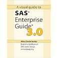 A Visual Guide to SAS Enterprise Guide 3.0