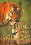 Spirit of the Wildcat