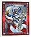 Fleece Blanket with Eagle and USA Flag-NEW-Great for your wall too-