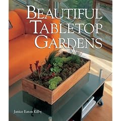 Beautiful Tabletop Gardens
