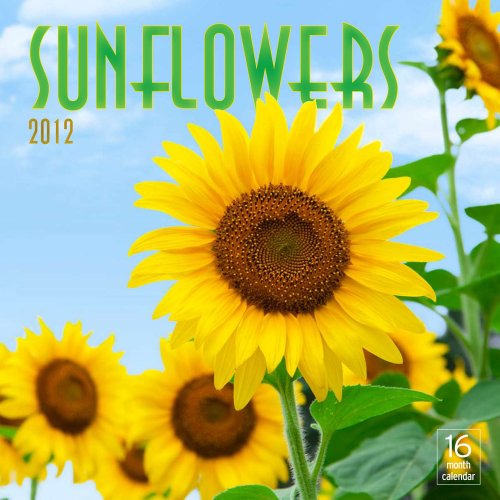 2012 Sunflowers Wall calendar