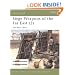 Siege Weapons of the Far East: AD 960-1644 v. 2 (Osprey New Vanguard)