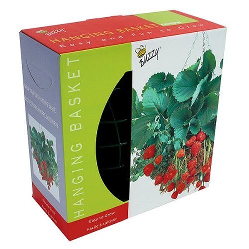 Buzzy Hanging Strawberry Basket