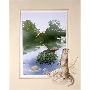 Otter on the Riverbank