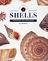 Identifying Shells (Identifying Guide Series)
