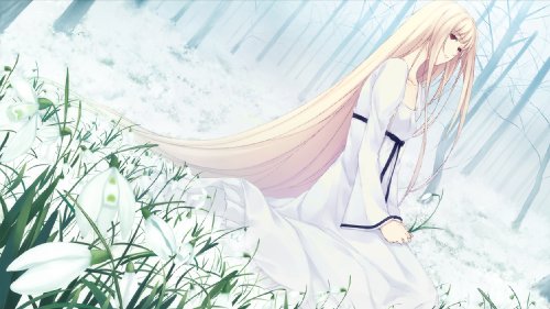 クロウカシス 七憑キノ贄 予約限定版