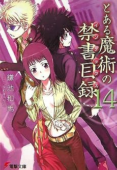 とある魔術の禁書目録(インデックス)〈14〉 (電撃文庫)