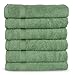 SALBAKOS 100% Turkish Cotton Hand Towel Set of 6 16x30 inch | Heirloom Quality | Hotel & Spa Collection | Ultra Soft, Super Absorbent, Long Lasting Hand Towels | Made in Turkey(Green, 6 Hand Towels)