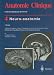 Search : Neuro-anatomie (Anatomie Clinique) (French Edition)