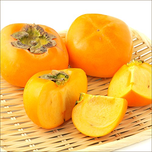 山形県産 庄内柿 ご家庭用(2kg) 山形県産 庄内柿 ご家庭用(2kg)