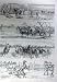 Yarding Warrigals Queensland Australia Wild Horses 1896