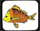 Decorated Mouse Pad with aquatic, South America, Brazil, fish, animal