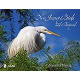 new jersey birds and beyond