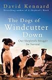 The Dogs of Windcutter Down: One Shepherds Struggle for Survival