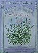Lavender White Ice Seeds 30 Seeds