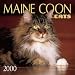 maine_coon31maine coon - Maine Coon Cats 2000 Calendar