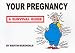 Book Your Pregnancy - A Survival Guide