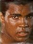 Muhammad Ali: A Portrait in Words and Photographs
