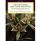 the cattleyas and their relatives the debatable epidendrums