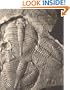 Palaeobiology