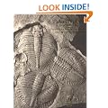 Palaeobiology: A Synthesis