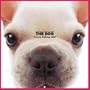 Artlist Collection the Dog 2005 Calendar French Bulldog (Multilingual Edition)
