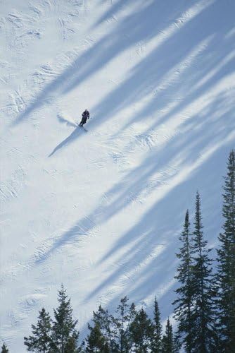 A Skier Glides across a Pine-shadowed Slope at Deer Valley Resort Wall Mural - 24 Inches H x 16 Inches W - Peel and Stick Removable Graphic