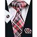 Hi-Tie Mens Red Silk Tie set