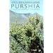 Purshia: The Wild And Bitter Roses