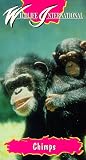 Chimps [VHS]