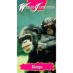 Chimps [VHS]