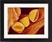 Framed Prints of Flowering fern spores, SEM from Science Photo Library