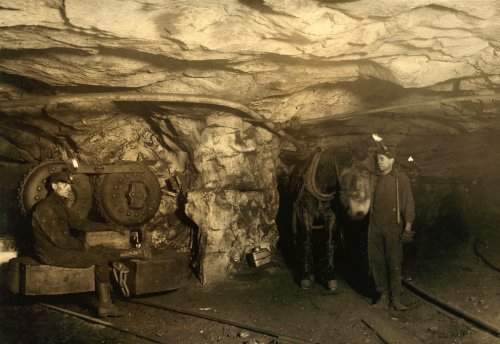 Mule and Motor Power in the Mine, Pittston, Pennsylvania, 1911