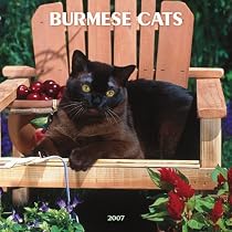 Burmese Cats 2007 Calendar
