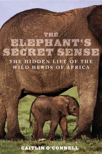 Elephants