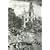 History of the Rise, Progress, and Termination of the American Revolution (2 Volume Set)