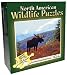 Moose - 550Pc Jigsaw Puzzle By Channel Craft