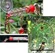 Single Tube Window Hummingbird Feeder and Hummingbird Swing