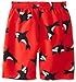 i play. Baby Boys' Pocket Trunks with Built-In Reusable Absorbent Swim Diaper