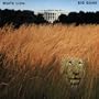Little Fighter (LP Version)