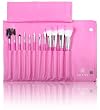 SHANY Pro Vegan Mineral Brush Set with Pink Clutch