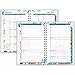 AT-A-GLANCE Weekly/Monthly Planner/Appointment Book, Evelina Design, Academic Year, July 2015-June 2016, 4.88 x 8 Inch Page Size (801-201A)