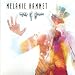 Hammet Melanie-Map of Glass