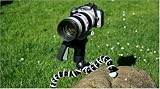 picture of Joby Gorillapod for Canon 450D, 1000D,500D, Nikon D3000, D5000,D90, Sony Alpha DLSR Range, and Panasonic G1 Series - SLR Zoom