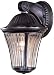 Amarante Heritage 10 3/4 High Outdoor Light