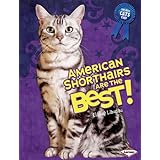 American Shorthairs Are the Best! (The Best Cats Ever)