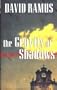 The Gravity of Shadows