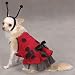 Large Ladybug Dog Halloween Costume