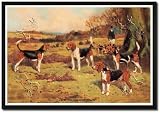 517UUGLSk4L. SL160  Framed Art Poster 20x30, Beagles